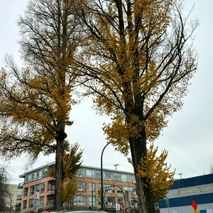 Meet your Posher, 英